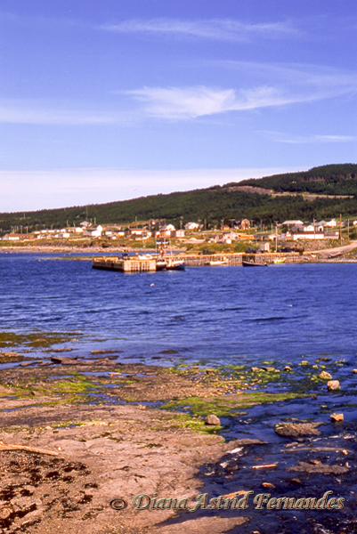Canada-fishing-village-Newfoundland